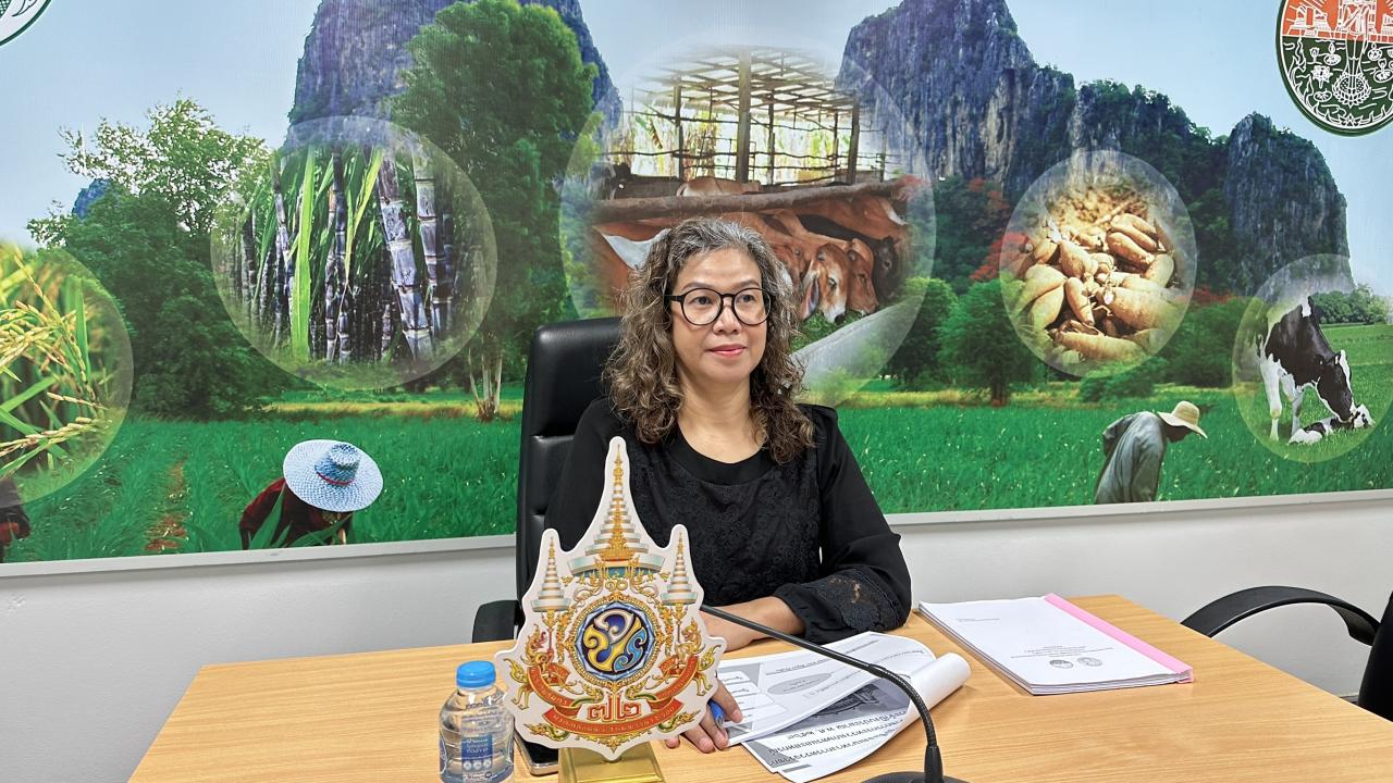 ภาพประกอบที่ 0