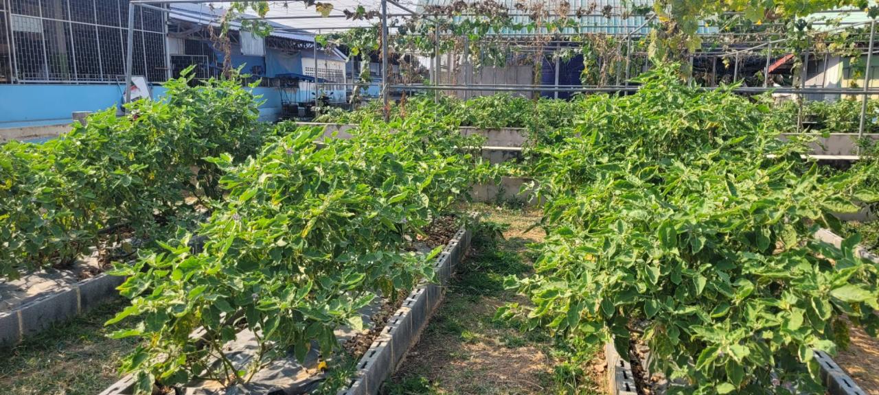 ภาพประกอบที่ 18