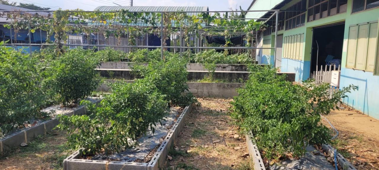 ภาพประกอบที่ 19