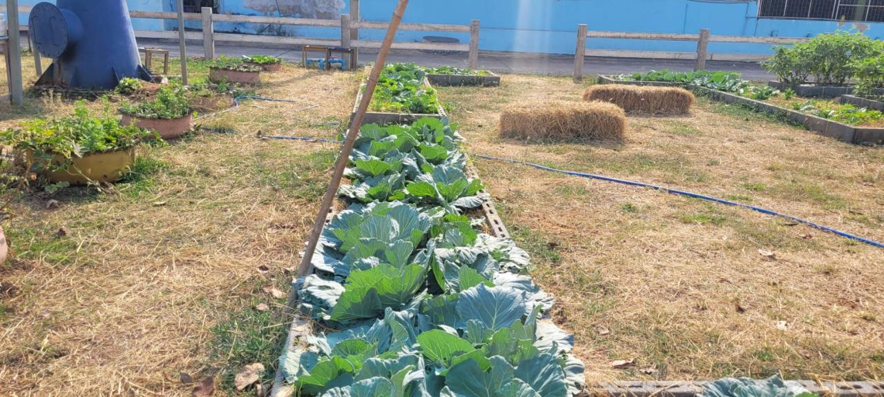 ภาพประกอบที่ 31