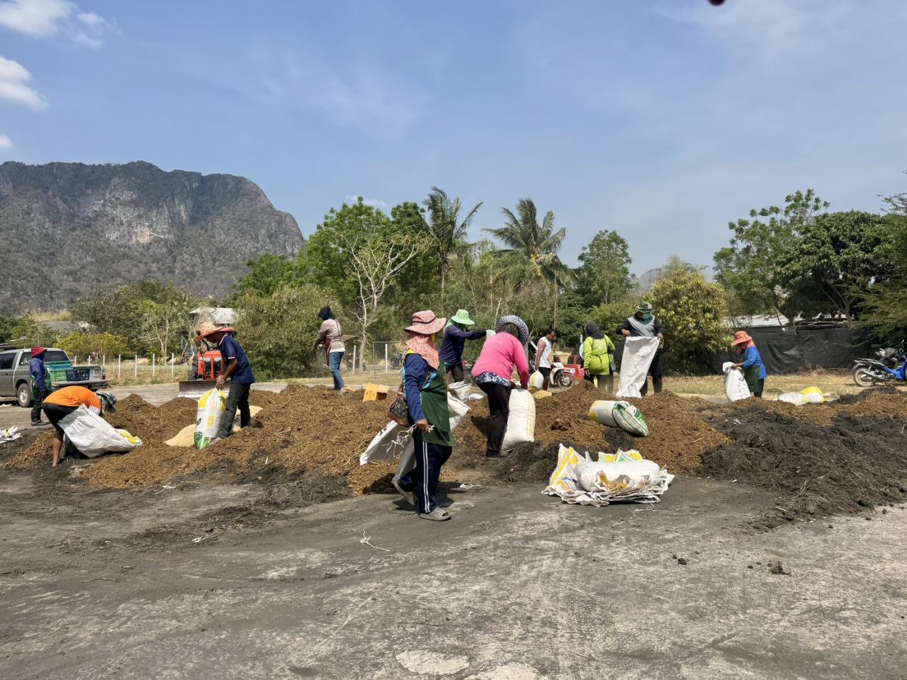 ภาพประกอบที่ 0