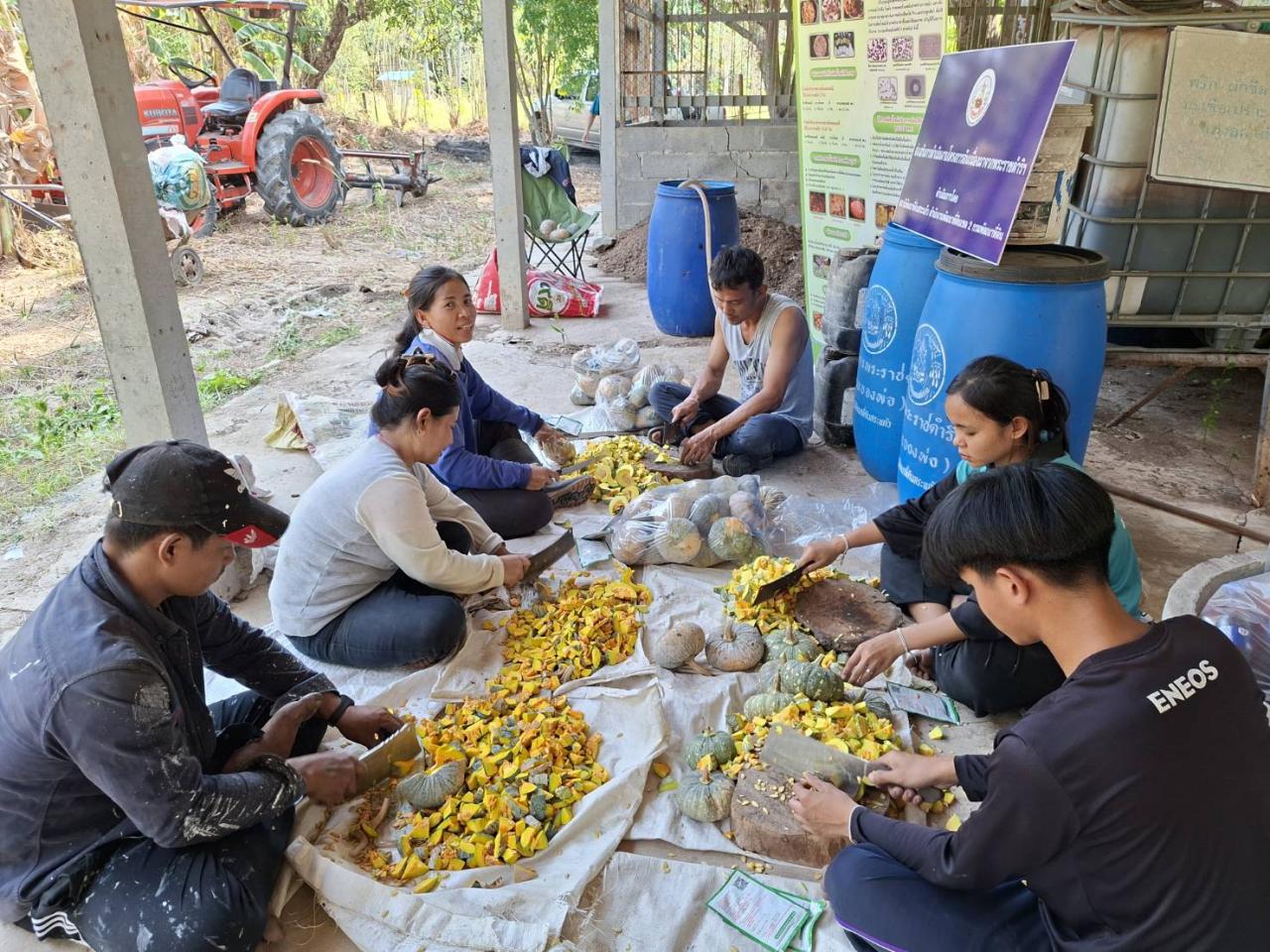 ภาพประกอบที่ 15