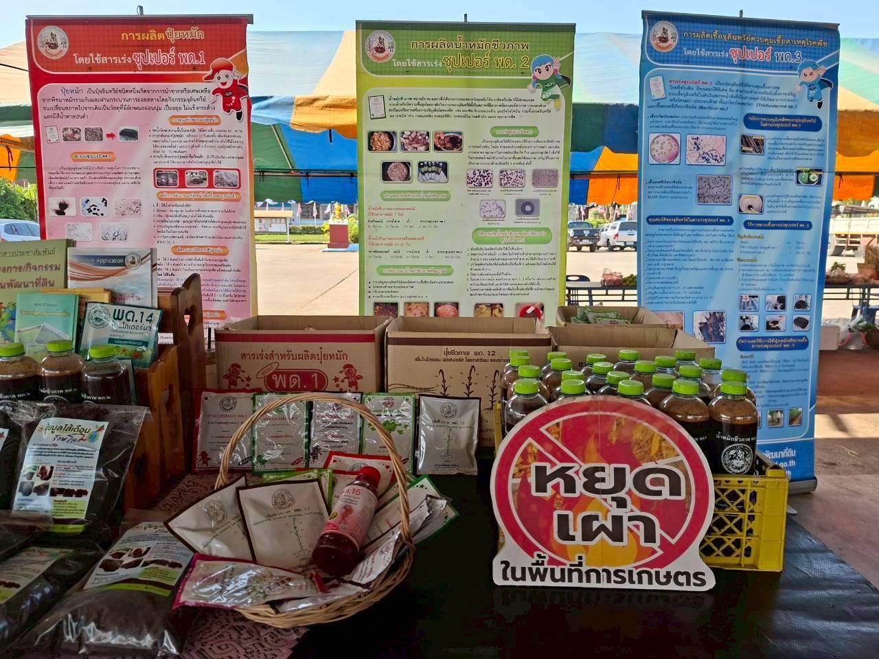 ภาพประกอบที่ 12