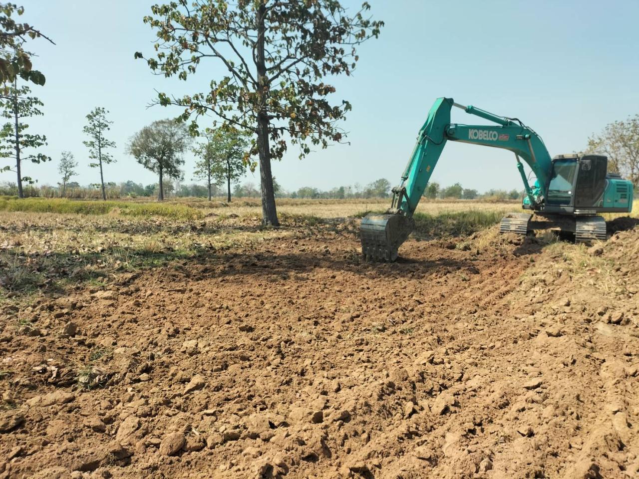 ภาพประกอบที่ 0