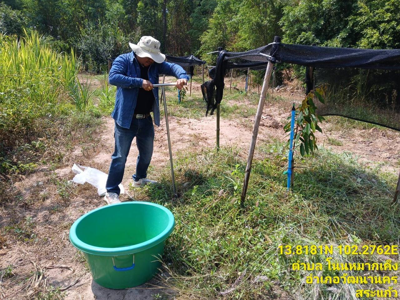 ภาพประกอบที่ 1