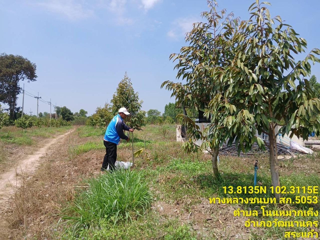 ภาพประกอบที่ 6