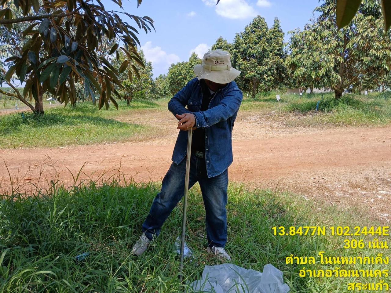 ภาพประกอบที่ 7