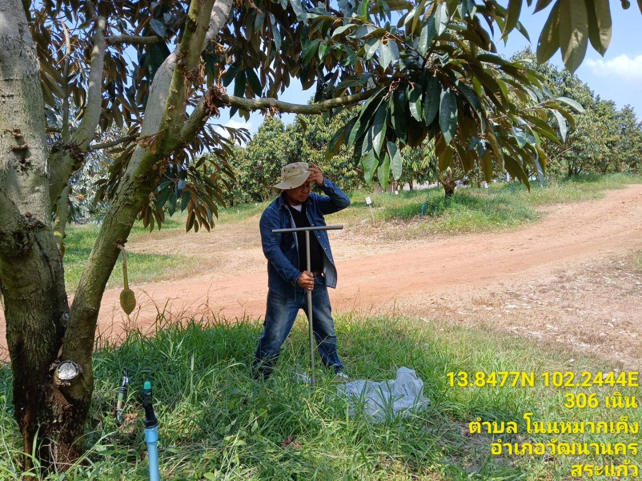 ภาพประกอบที่ 8