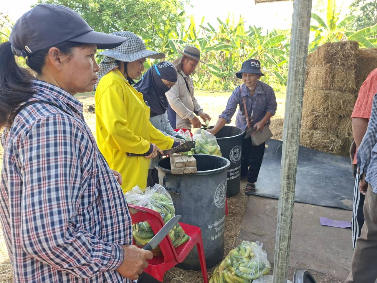 ภาพประกอบที่ 0