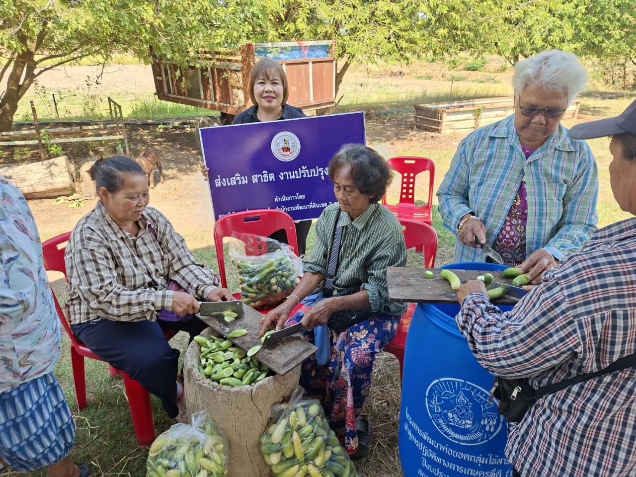 ภาพประกอบที่ 3