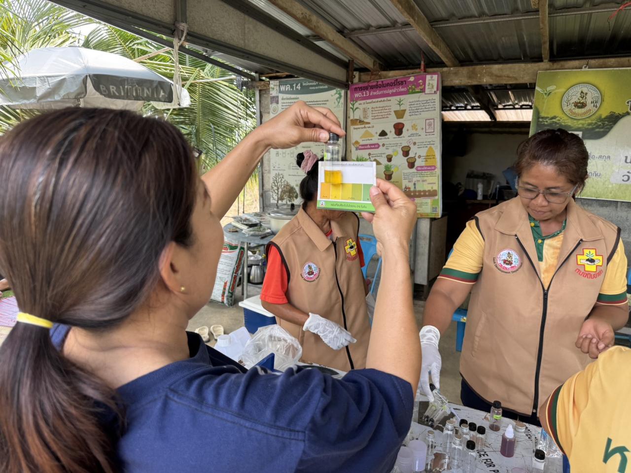 ภาพประกอบที่ 4