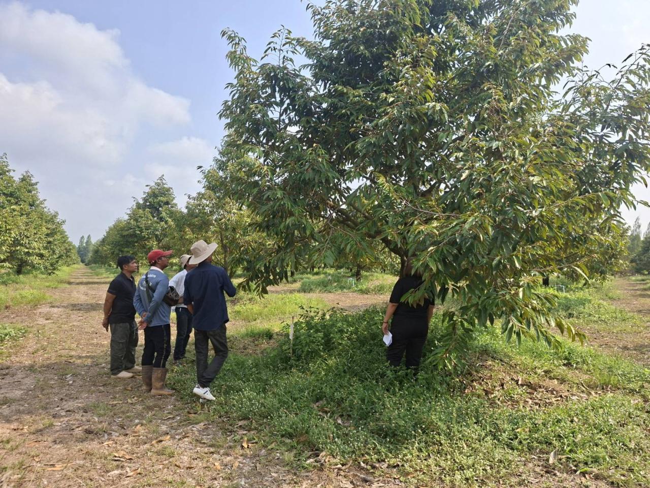 ภาพประกอบที่ 3