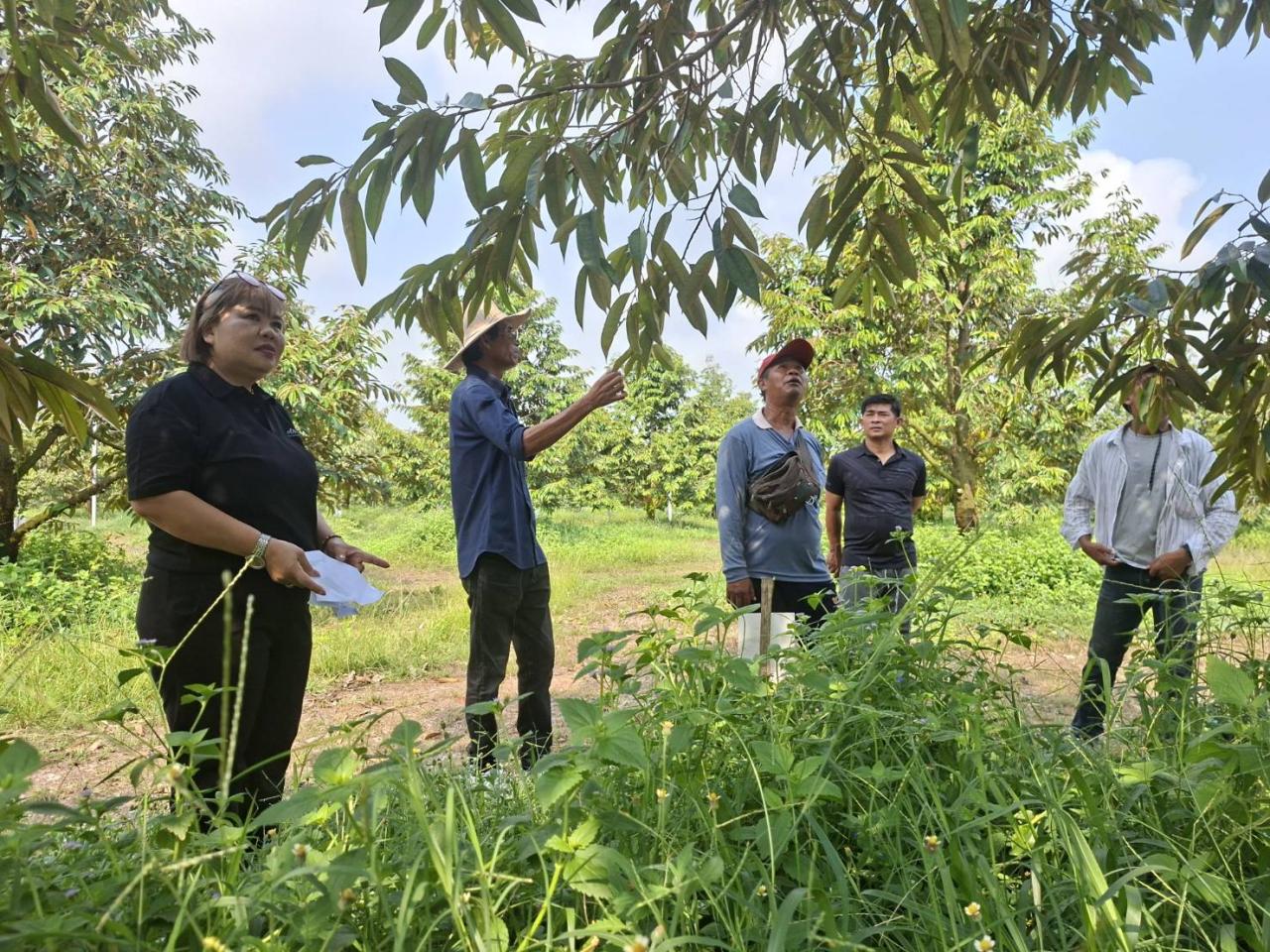 ภาพประกอบที่ 4