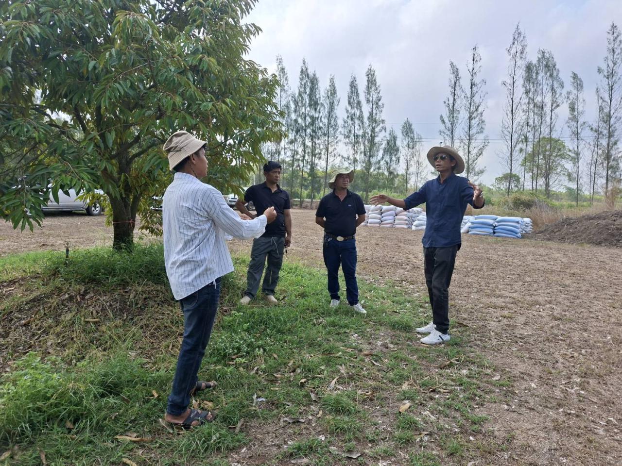 ภาพประกอบที่ 5