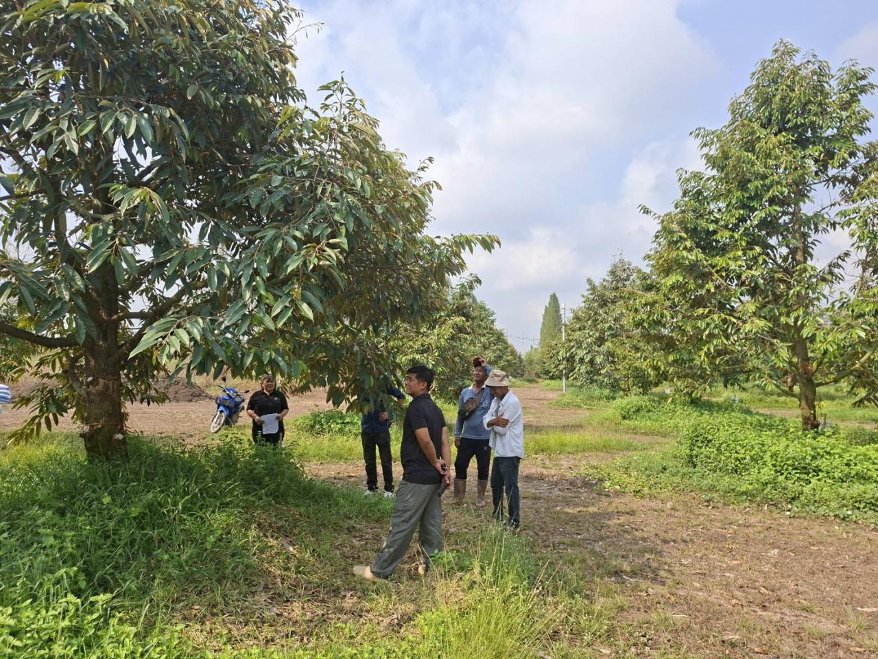 ภาพประกอบที่ 6