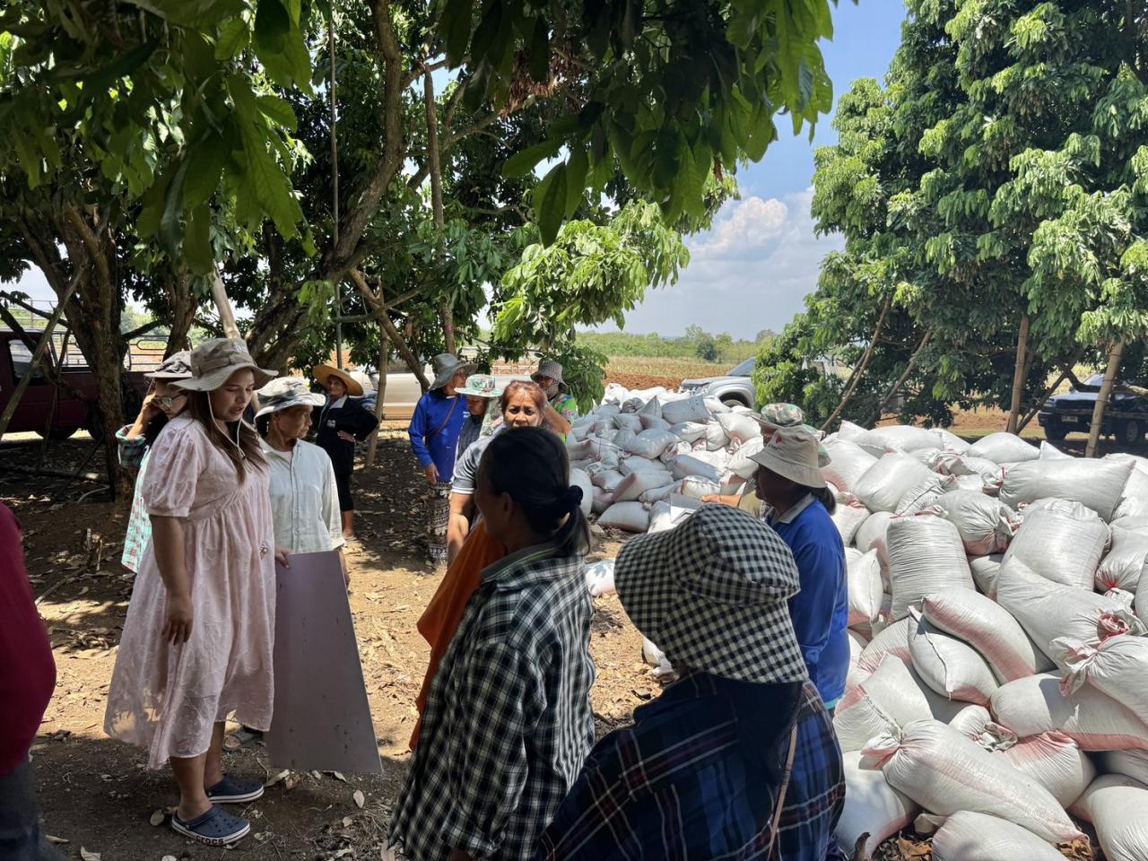 ภาพประกอบที่ 5