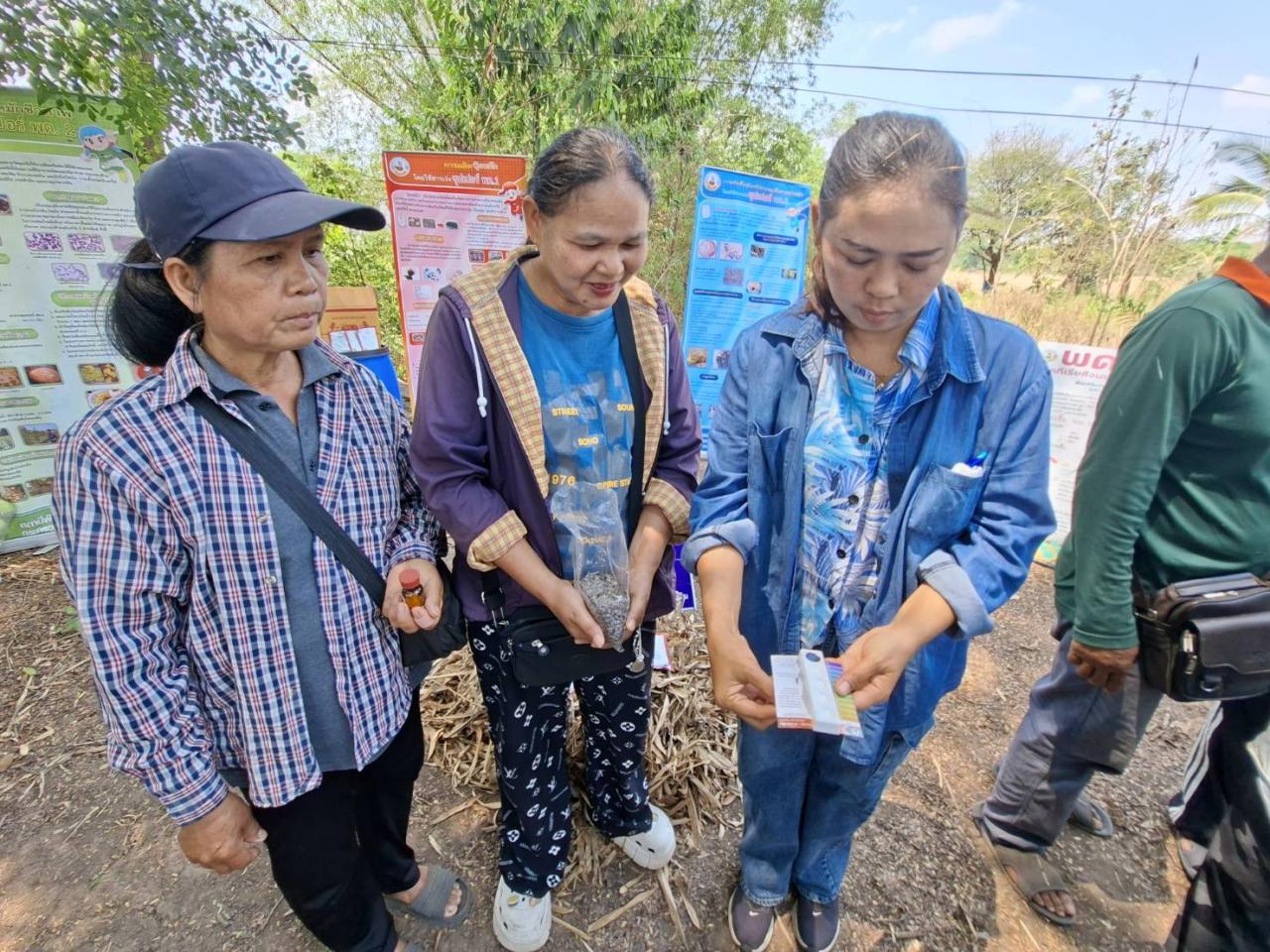 ภาพประกอบที่ 7