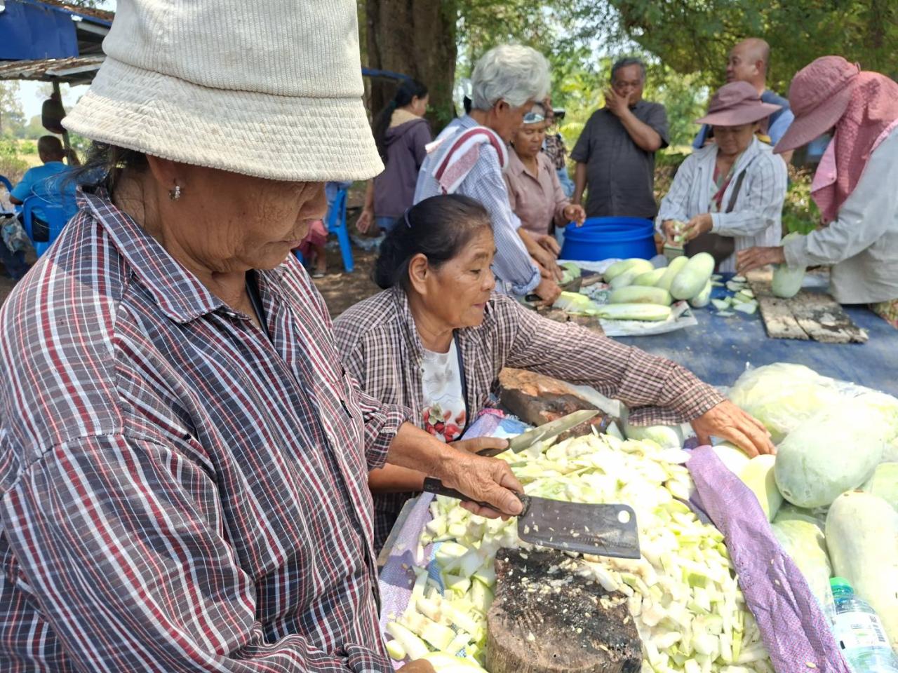 ภาพประกอบที่ 12