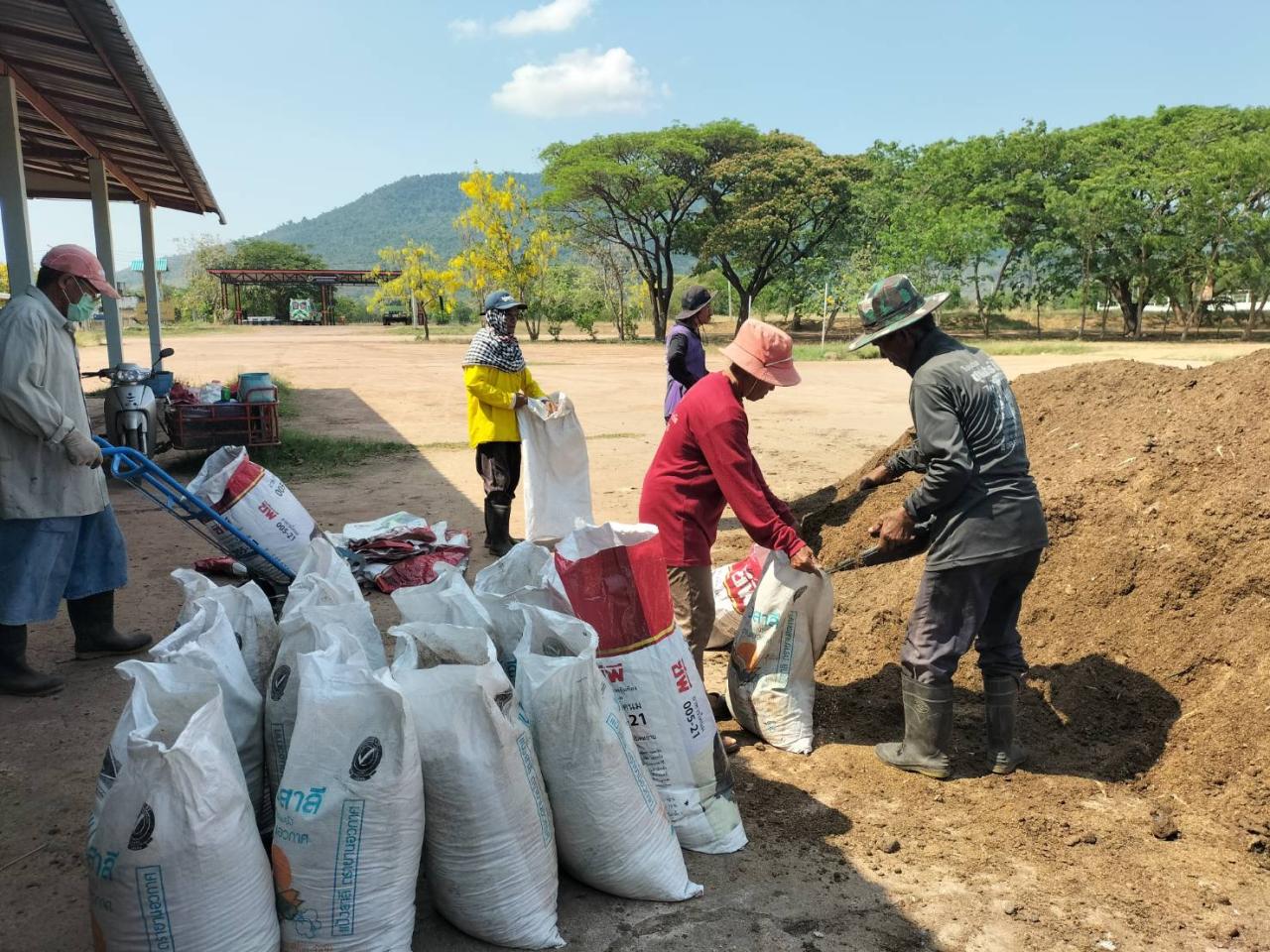 ภาพประกอบที่ 0
