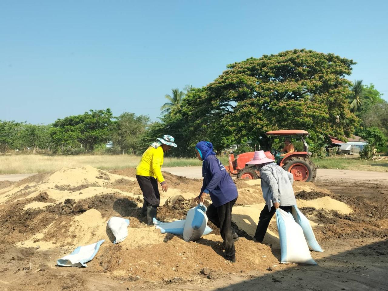 ภาพประกอบที่ 2