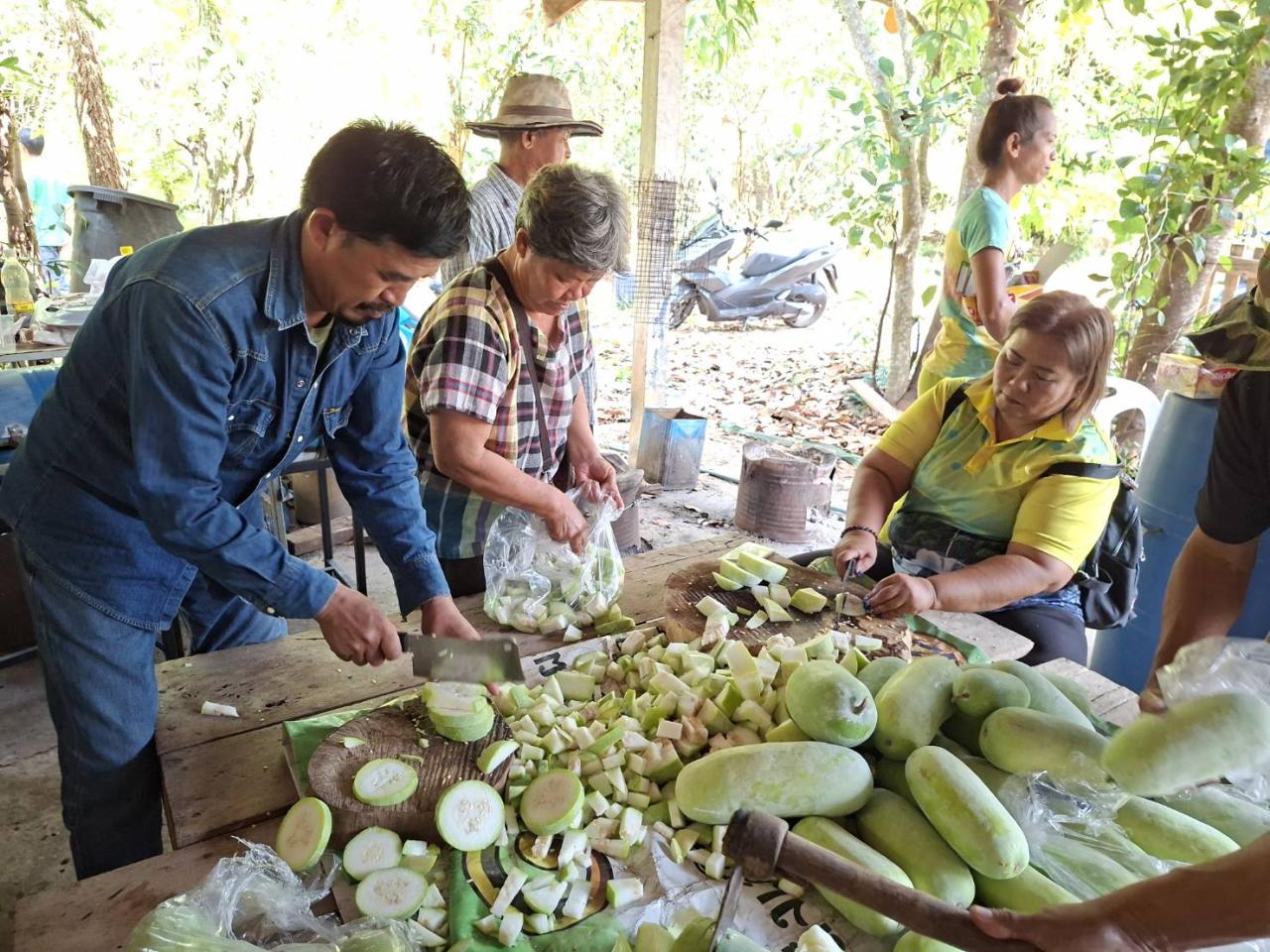 ภาพประกอบที่ 10