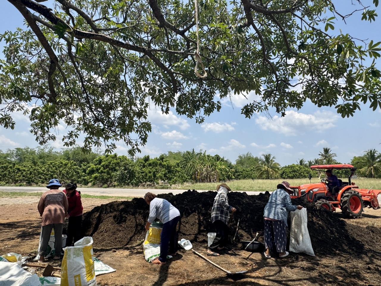 ภาพประกอบที่ 12