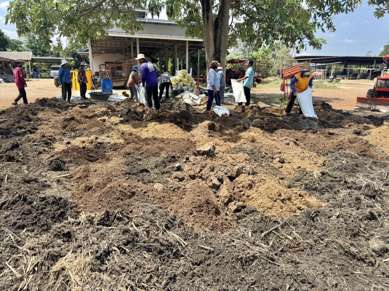 ภาพประกอบที่ 19