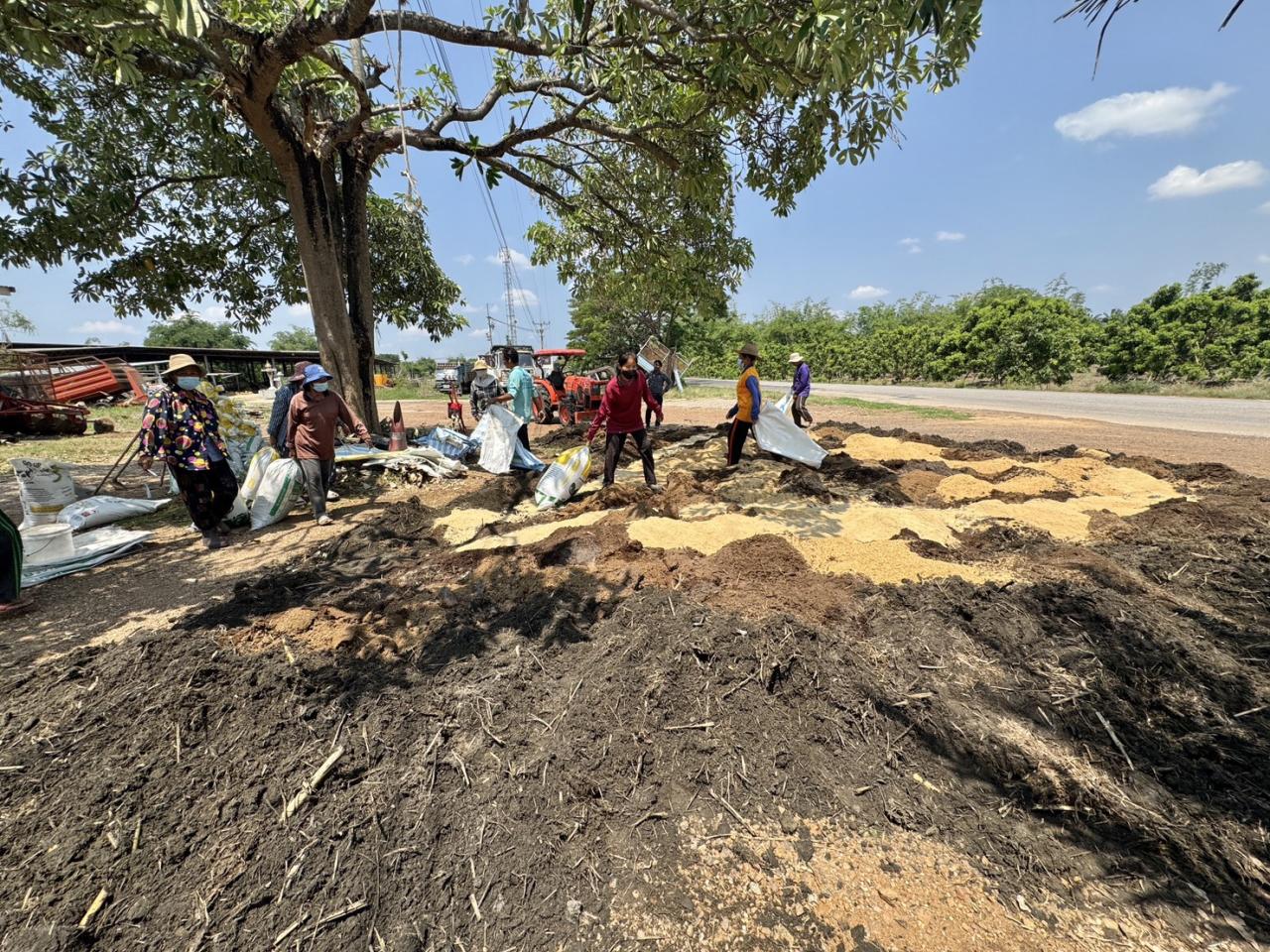ภาพประกอบที่ 20