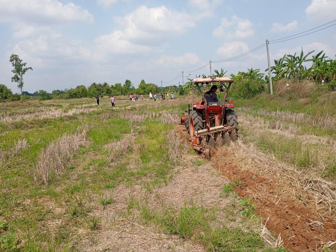ภาพประกอบที่ 8