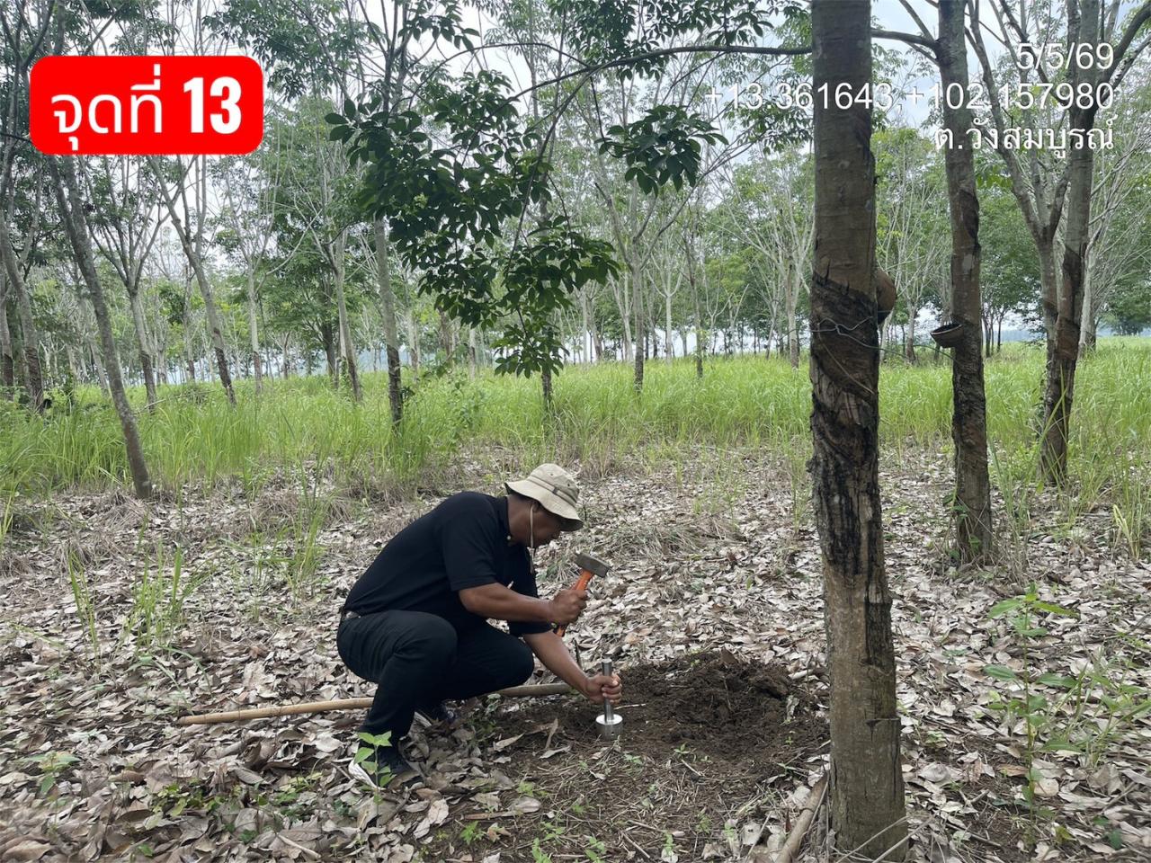 ภาพประกอบที่ 7