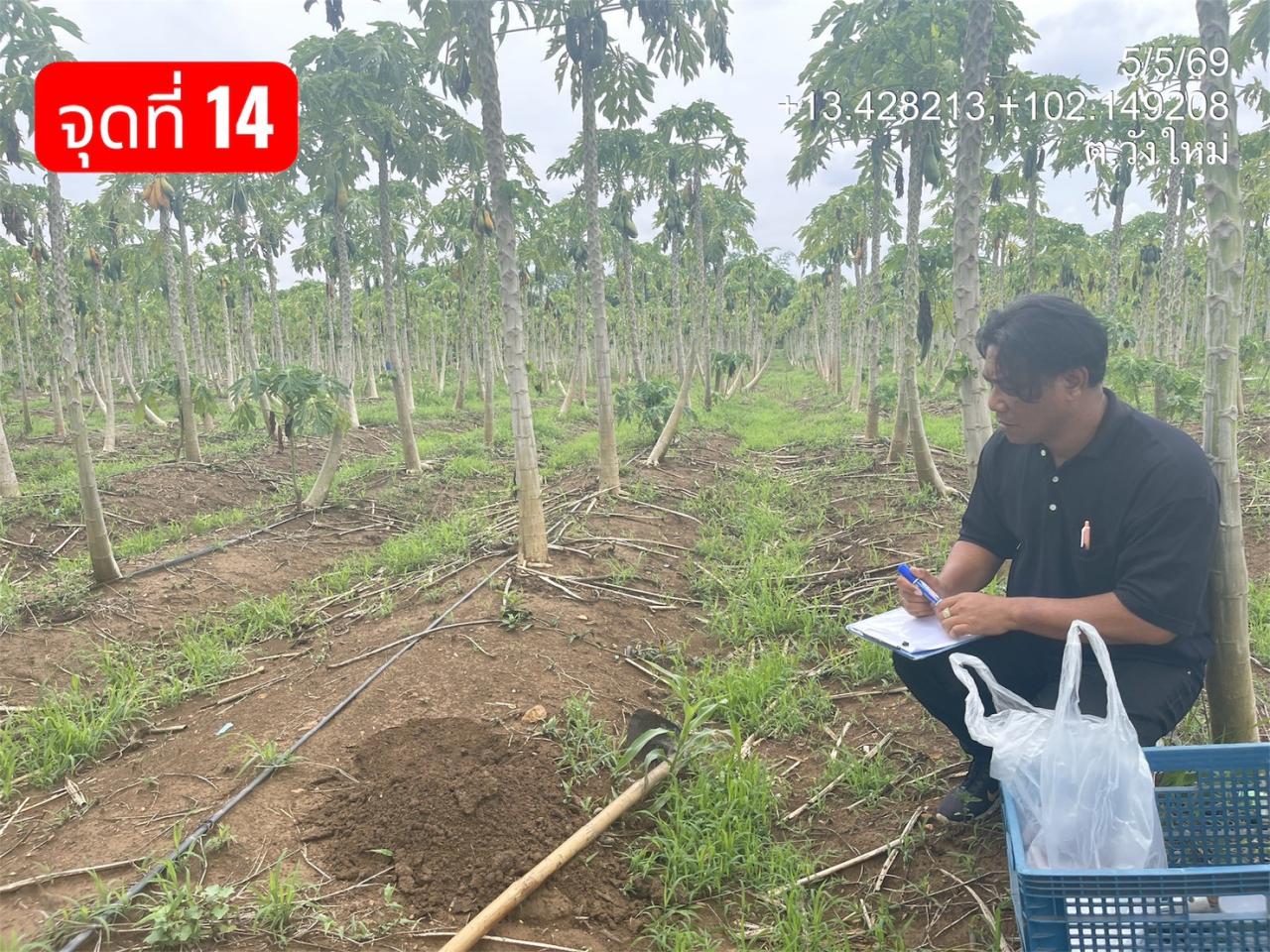 ภาพประกอบที่ 10