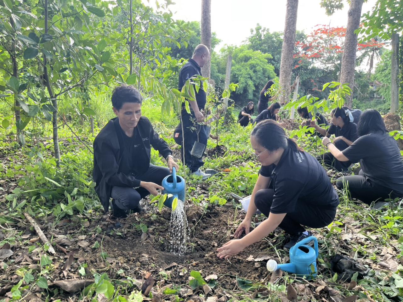 ภาพประกอบที่ 16