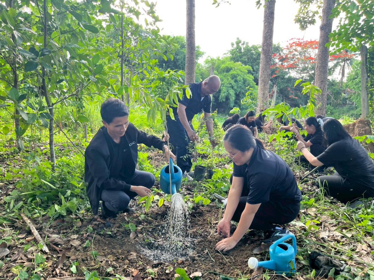 ภาพประกอบที่ 24