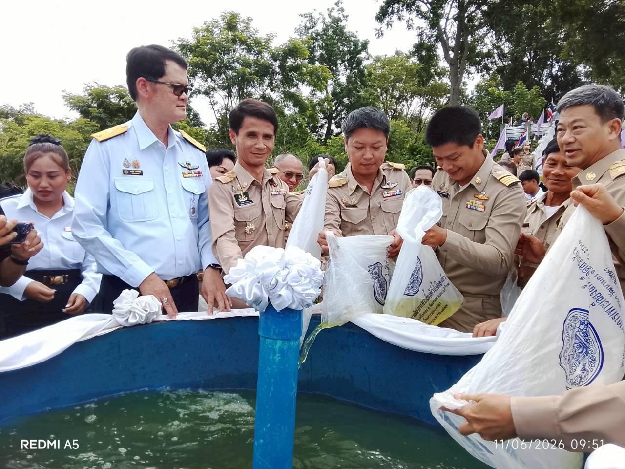 ภาพประกอบที่ 2