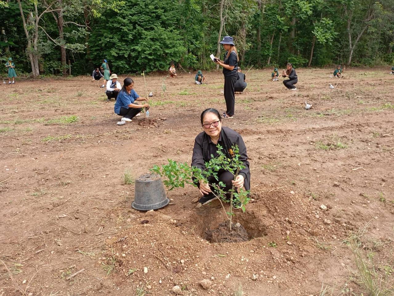 ภาพประกอบที่ 1