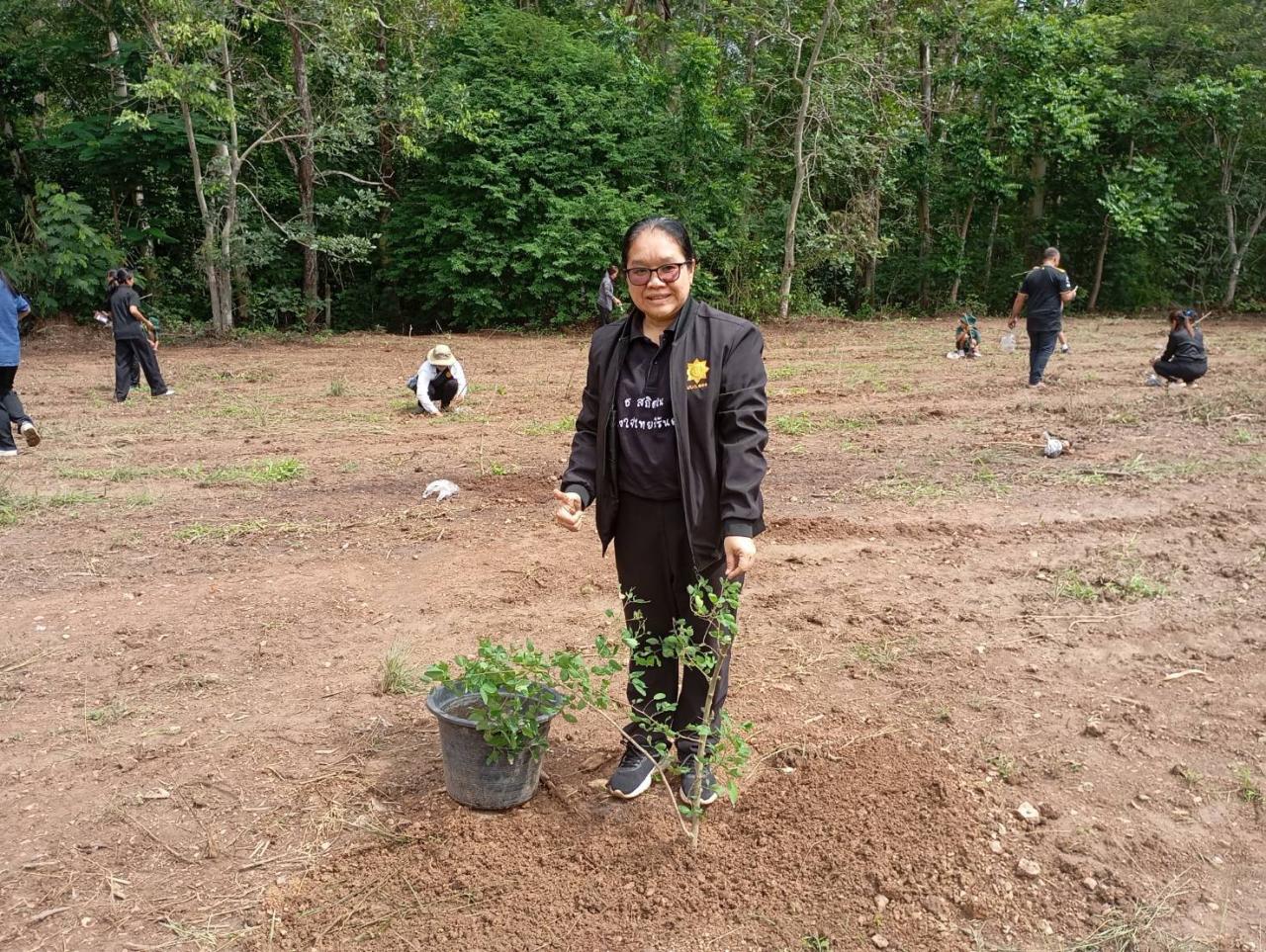 ภาพประกอบที่ 8