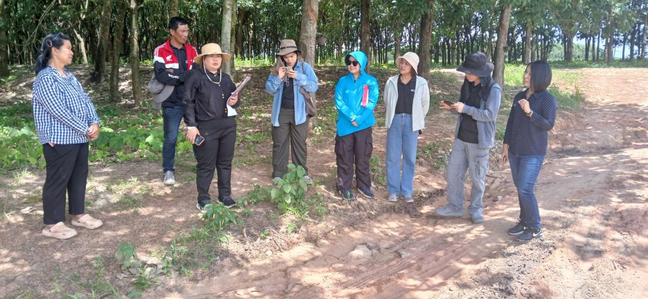 ภาพประกอบที่ 0