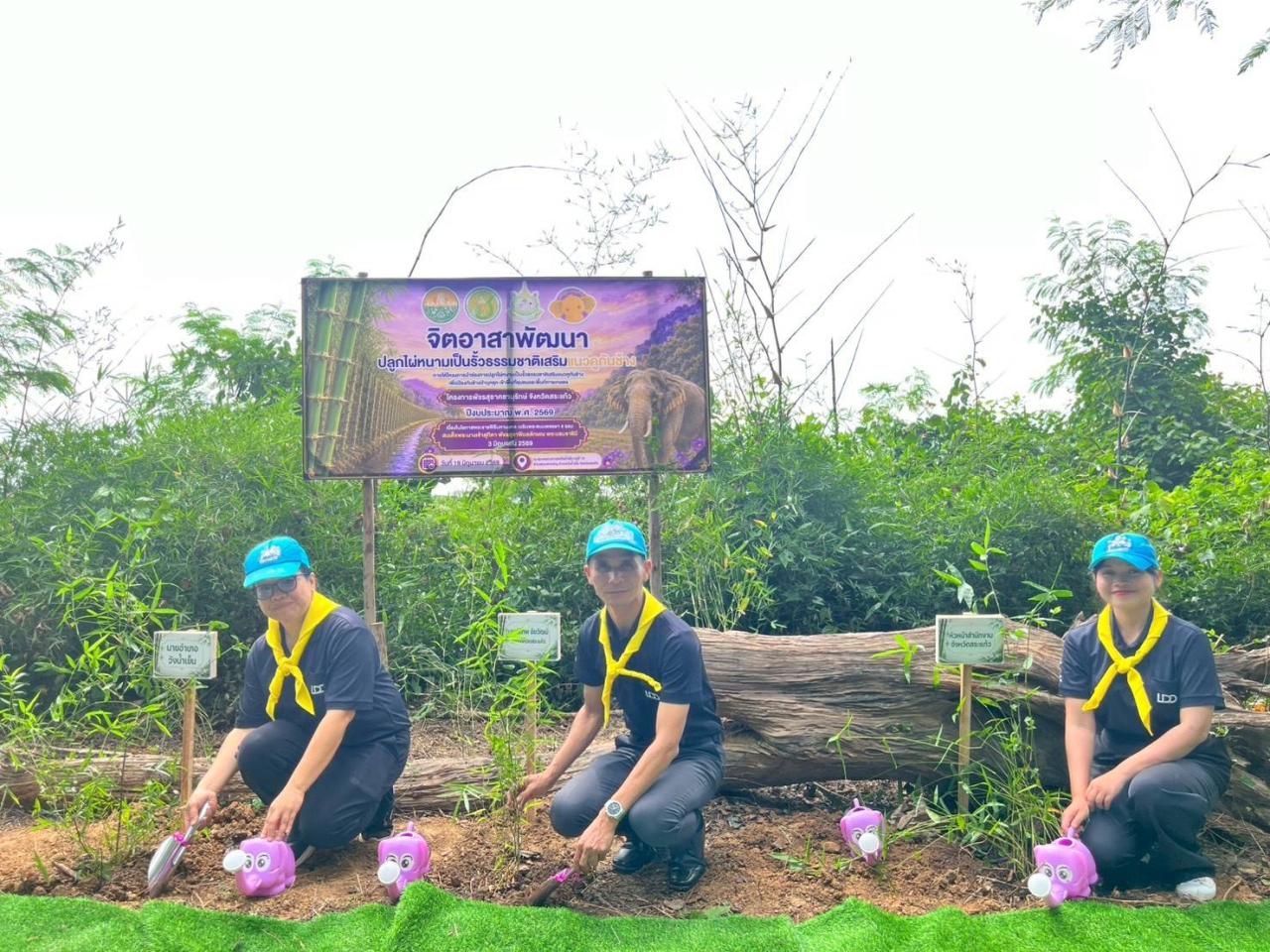 ภาพประกอบที่ 11