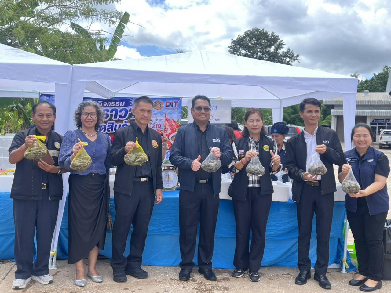 ภาพประกอบที่ 12