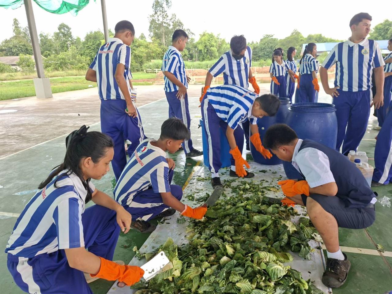 ภาพประกอบที่ 8