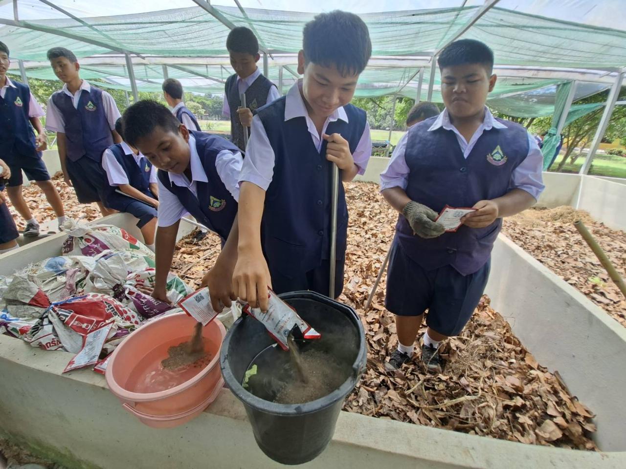 ภาพประกอบที่ 5