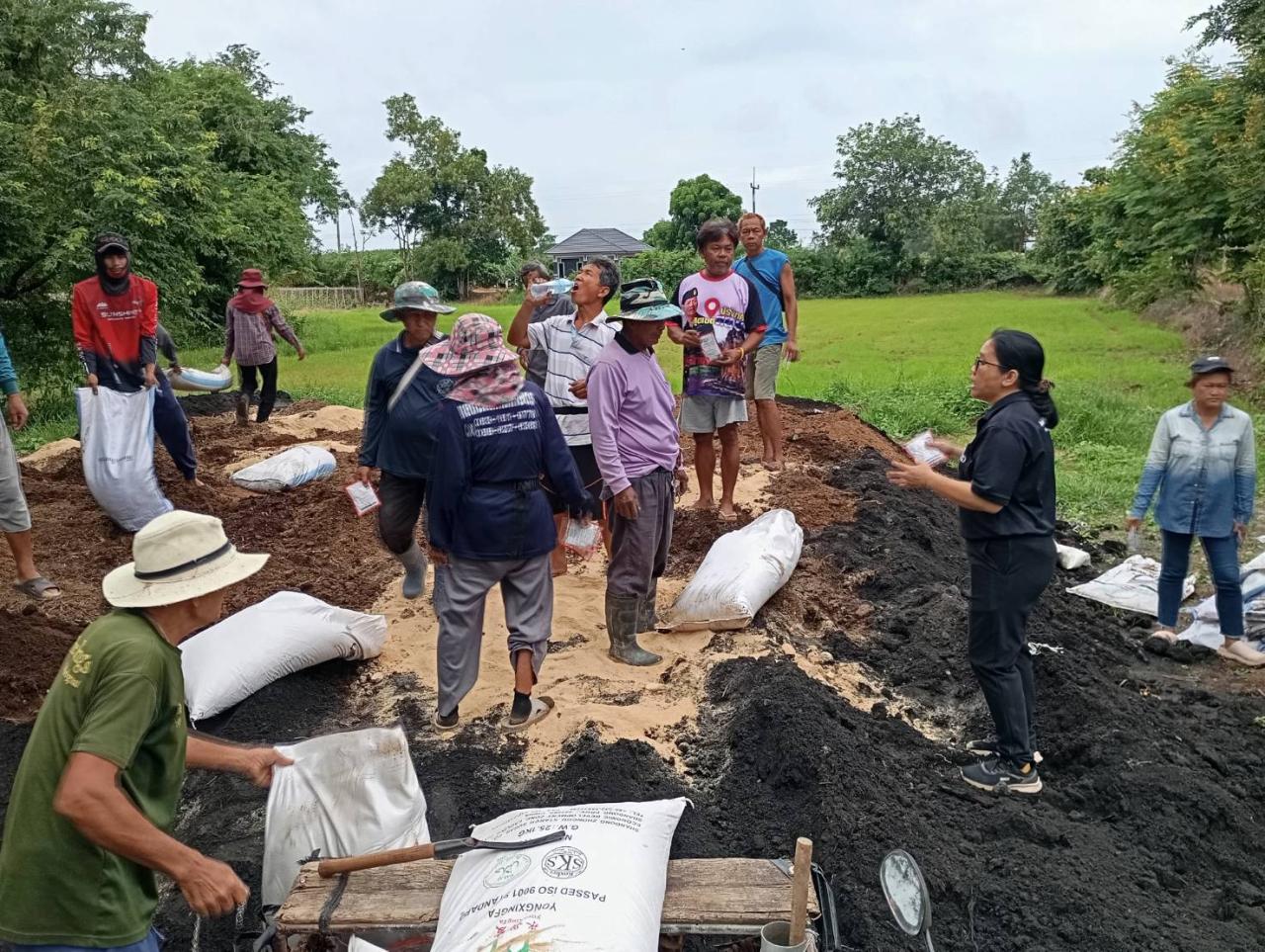 ภาพประกอบที่ 1