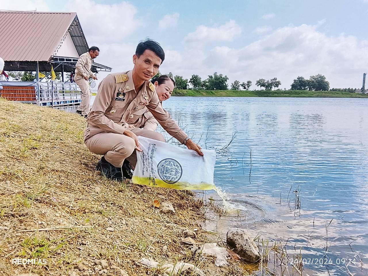 ภาพประกอบที่ 7