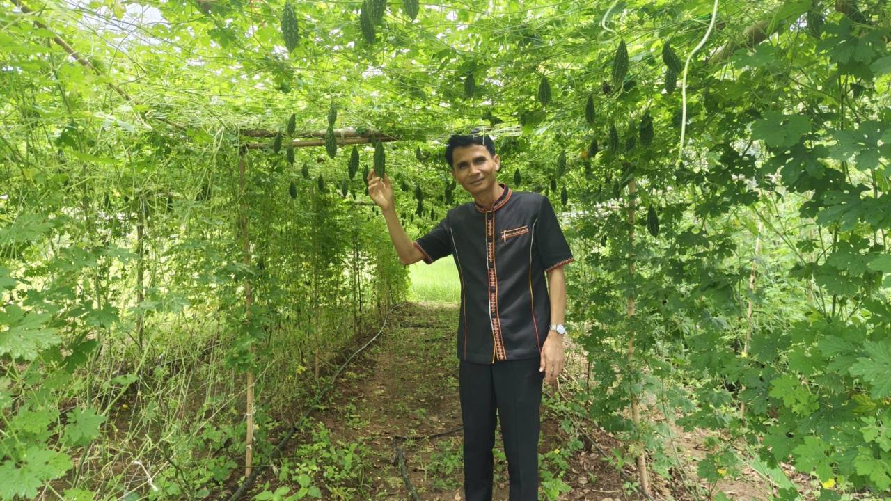 ภาพประกอบที่ 7