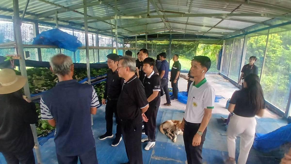 ภาพประกอบที่ 10