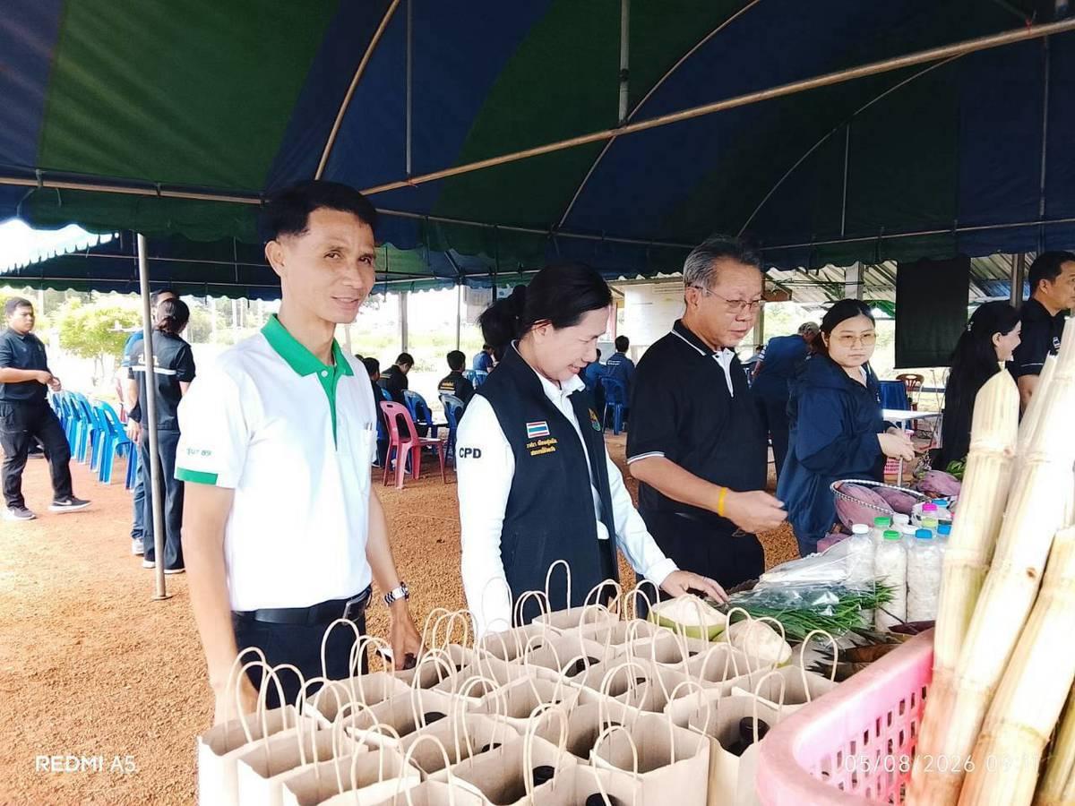 ภาพประกอบที่ 15