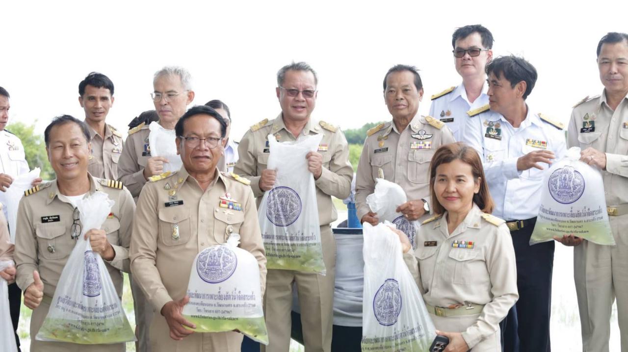 ภาพประกอบที่ 3