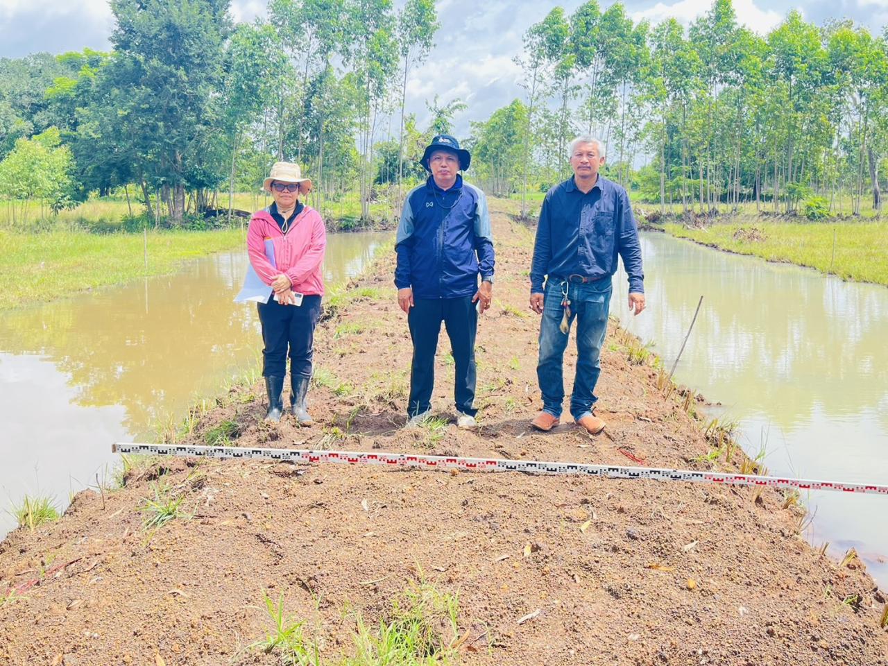ภาพประกอบที่ 1