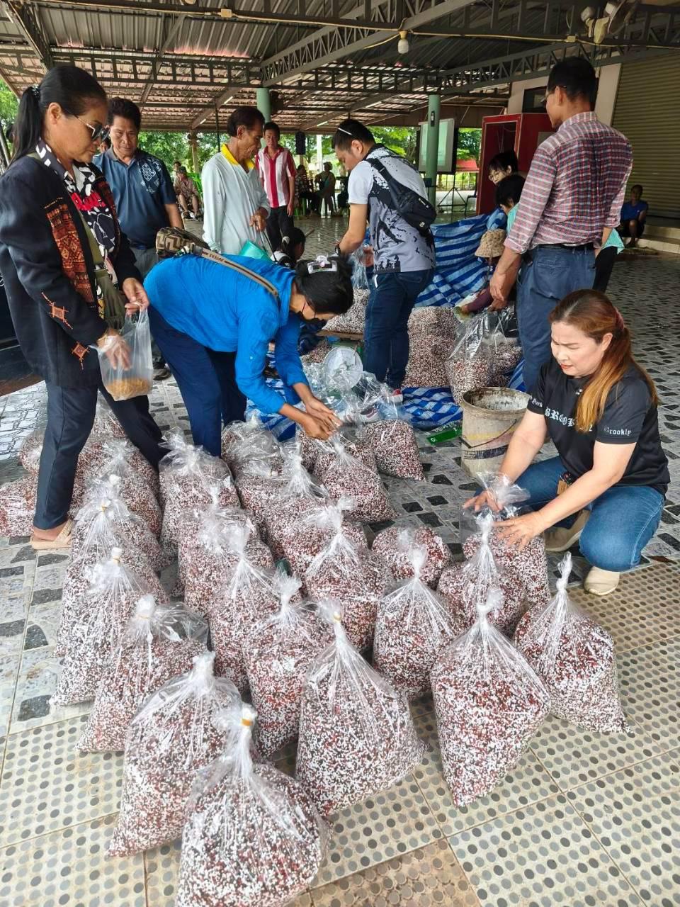 ภาพประกอบที่ 6