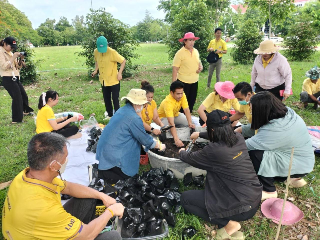 ภาพประกอบที่ 2